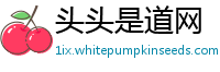 头头是道网